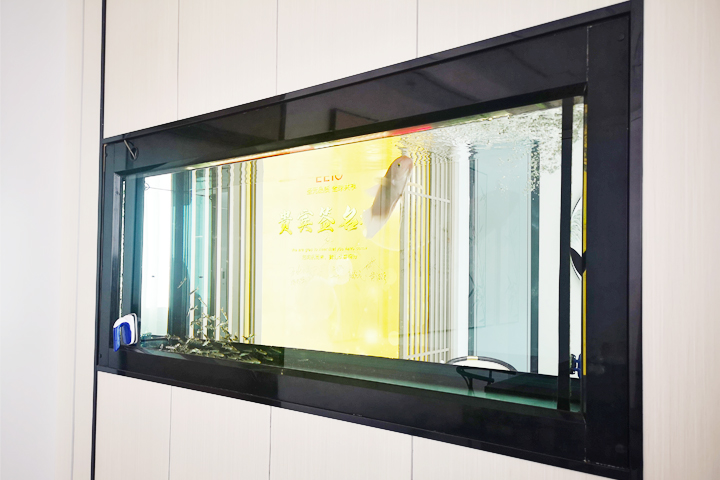 圣元電器休息室魚(yú)缸